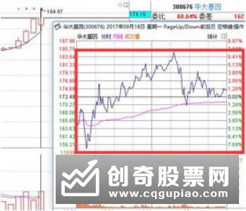 黑马龙头次新股有什么特征，举例分析