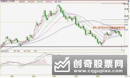 12家机构预计11月份CPI继续上行 货币政策保持稳健