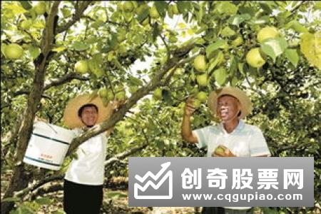 德国法兰克福股市DAX指数14日下跌
