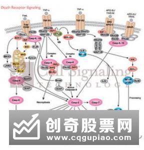 中证指数陆素源:国内指数型产品规模已逾117万亿元?