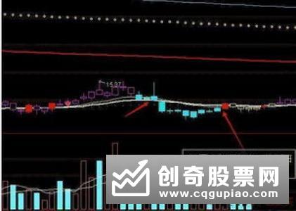 尾盘是什么