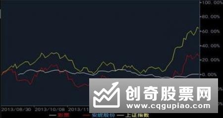 什么是股份？概念是什么