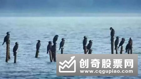 卖空是什么意思