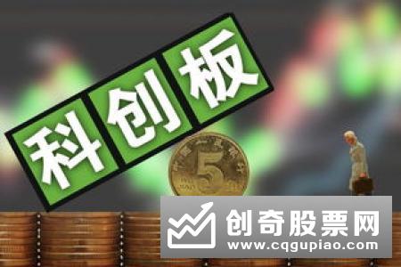 科创板打新：小盘基金获热捧