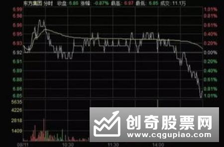 尾盘是什么