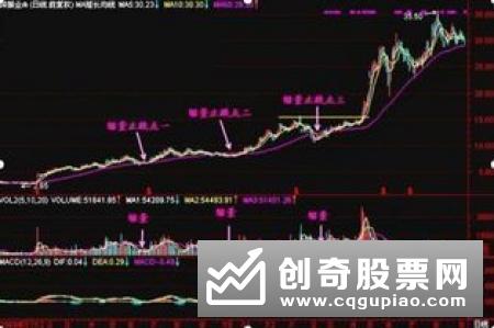 流通盘是什么