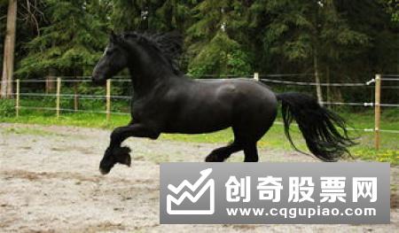 二十三条绝招抓翻番黑马