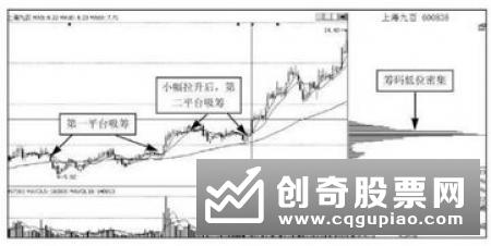 能从股市中赚钱的方法