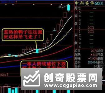 炒股入门知识认为投资人选择股票的第一参照要素