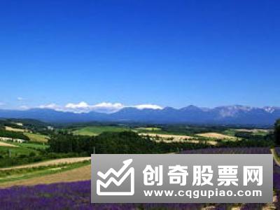 报告显示：中国人出境旅游消费日趋多元