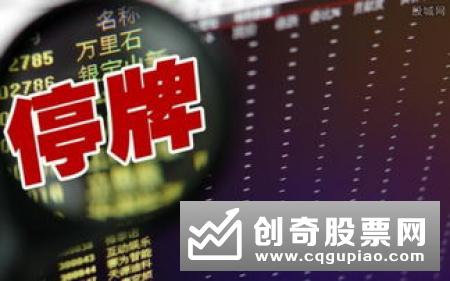股利四个重要日期是什么