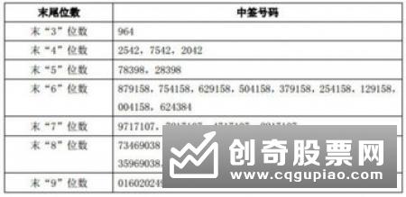 如何查询新股中签号