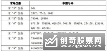 如何查询新股中签号