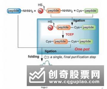 WVAD与BOLL组合策略威廉变异离散量