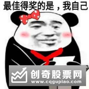 什么是IPO