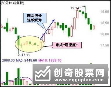 塔形底形态与塔形顶形态相反