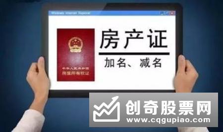 新手应该注意什么方面内容，应该警惕哪些风险