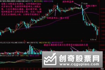 什么是庄家的生命线
